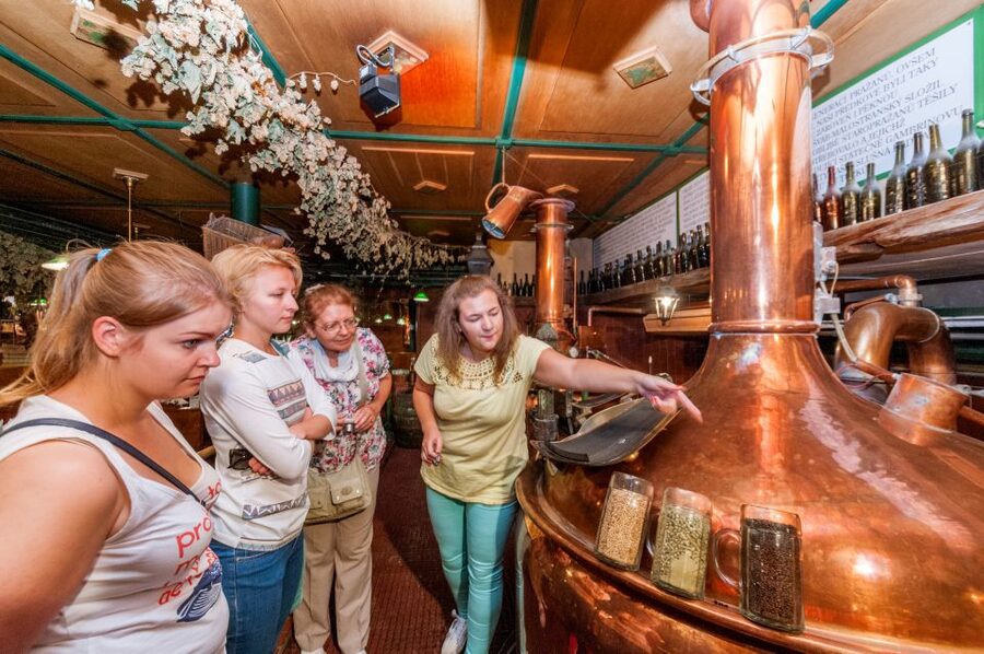 Prague: Brewery Tour with Unlimited Tastings - The opening walk through central Prague