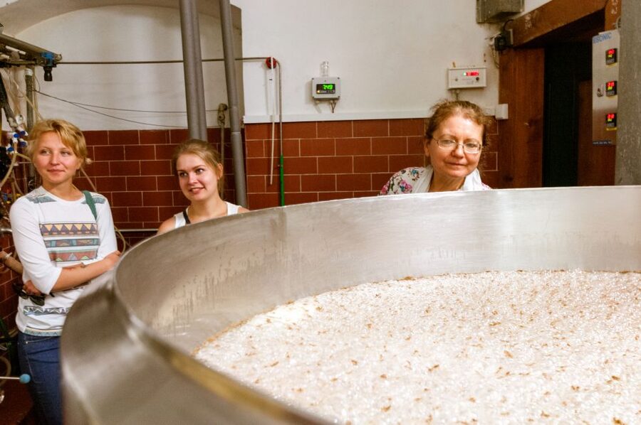 Prague: Brewery Tour with Unlimited Tastings - What the brewing lessons add