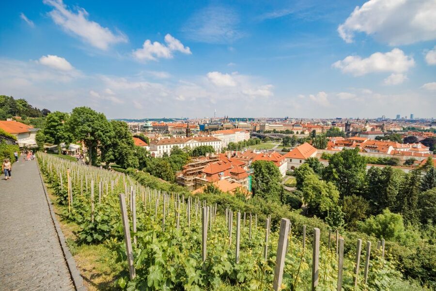 Prague Castle 2.5-Hour Tour Including Admission Ticket - Key points to know before booking