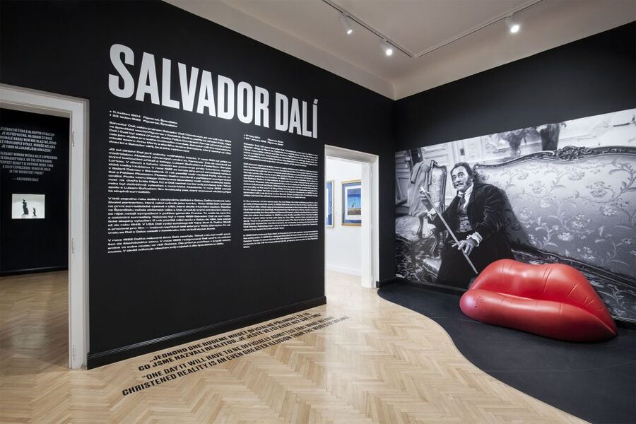 Prague: Central Gallery Ticket with Two Exhibitions - Choosing one exhibit or both