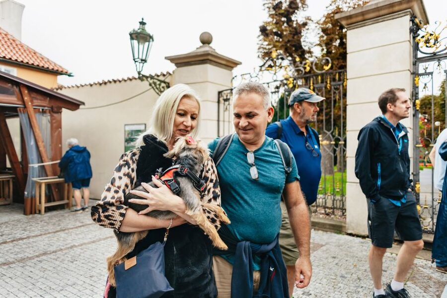 Prague: City Highlights By Bus, Boat, and on Foot - Timing, languages, and practical planning
