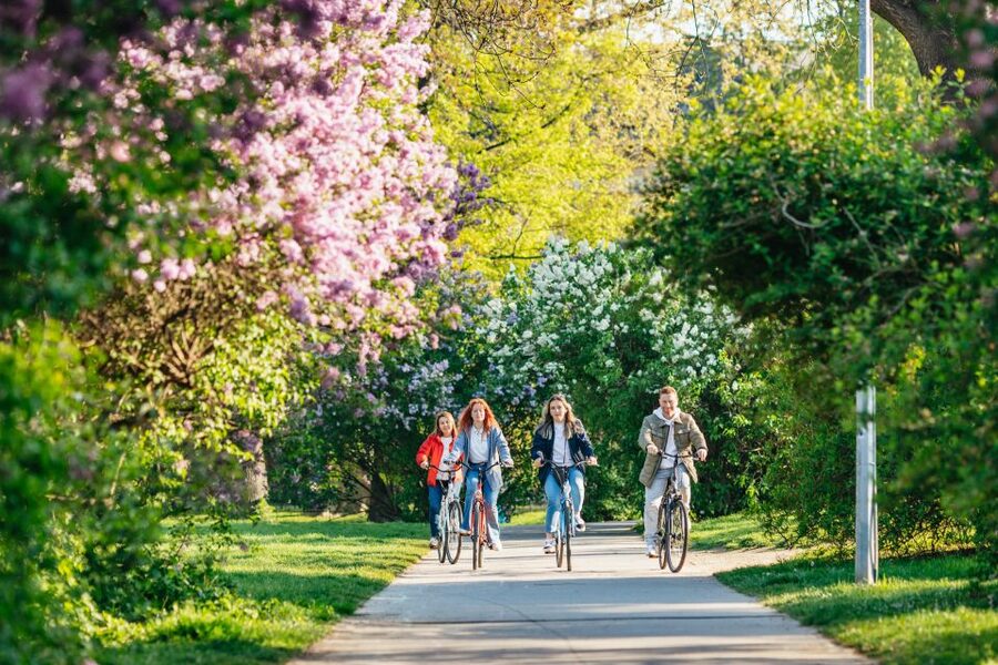 Prague: Complete Bike Tour - The guide makes or breaks the experience