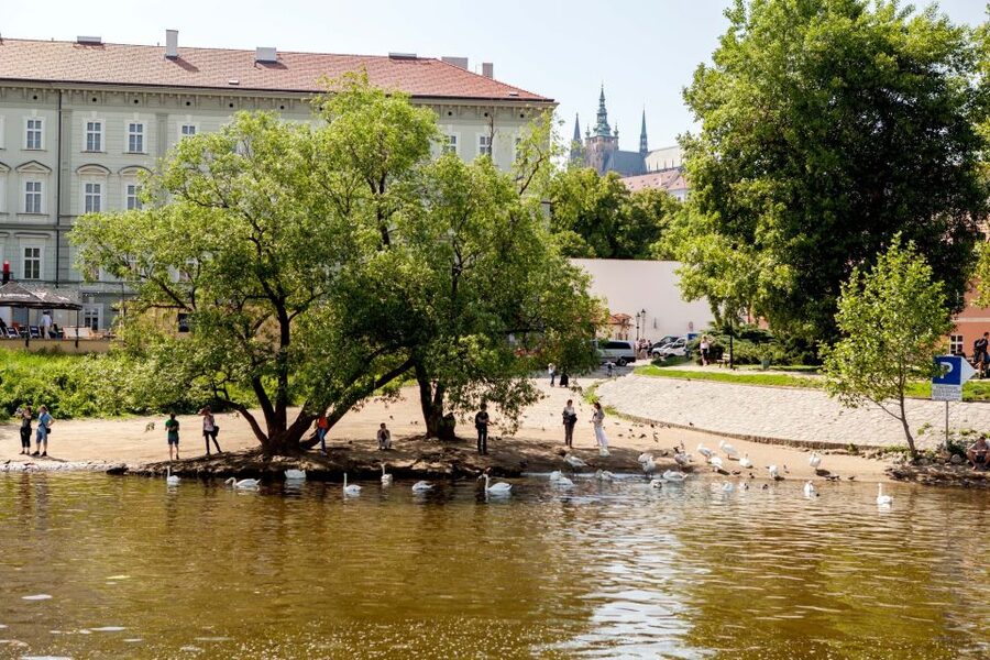 Prague Cruise: 1-Hour on the River Vltava - Prague Castle Across the River