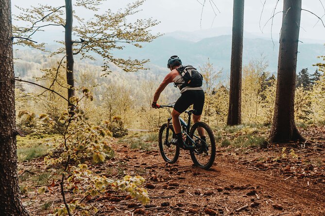Prague E-Mountain Biking Adventure In The Bohemian Paradise - Hrad Trosky, the day’s most dramatic finish
