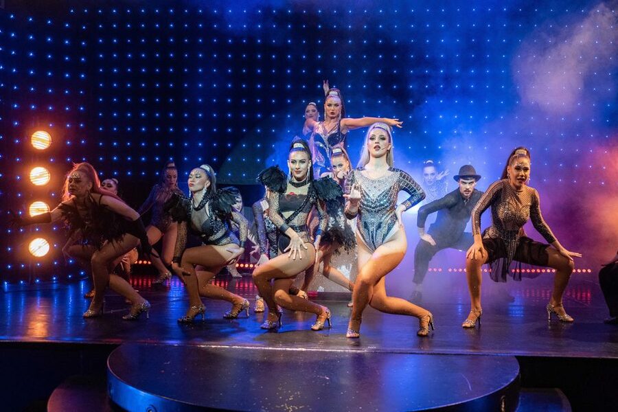 Prague: Evening Czech Cabaret Show at the Hybernia Theater - Is $57 a fair price?