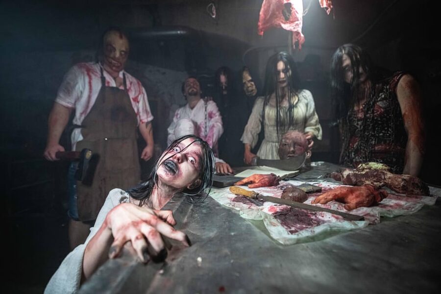 Prague Fear House: Best Haunting Experience in Prague - Who should book Prague Fear House?