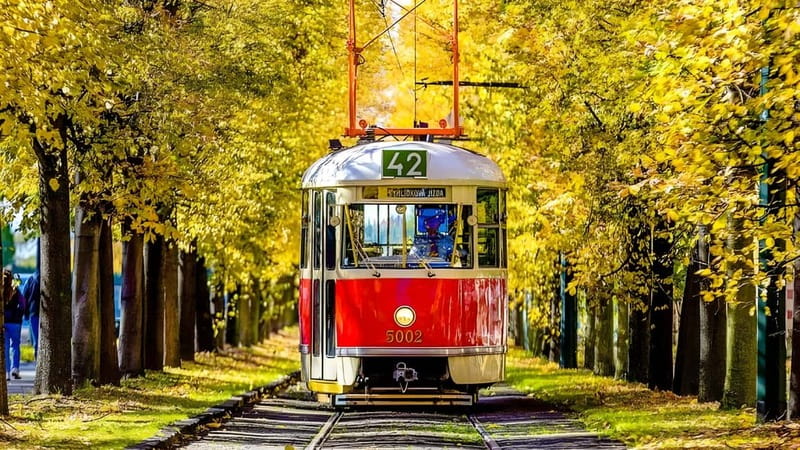 Prague: Full-Day Guided Tour of Prague in a Small-Group - Who will get the most from this tour