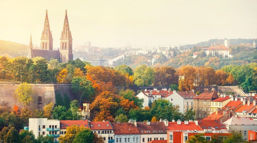 Prague: Guided tour to the historic fortress of Vyšehrad - What the private format changes