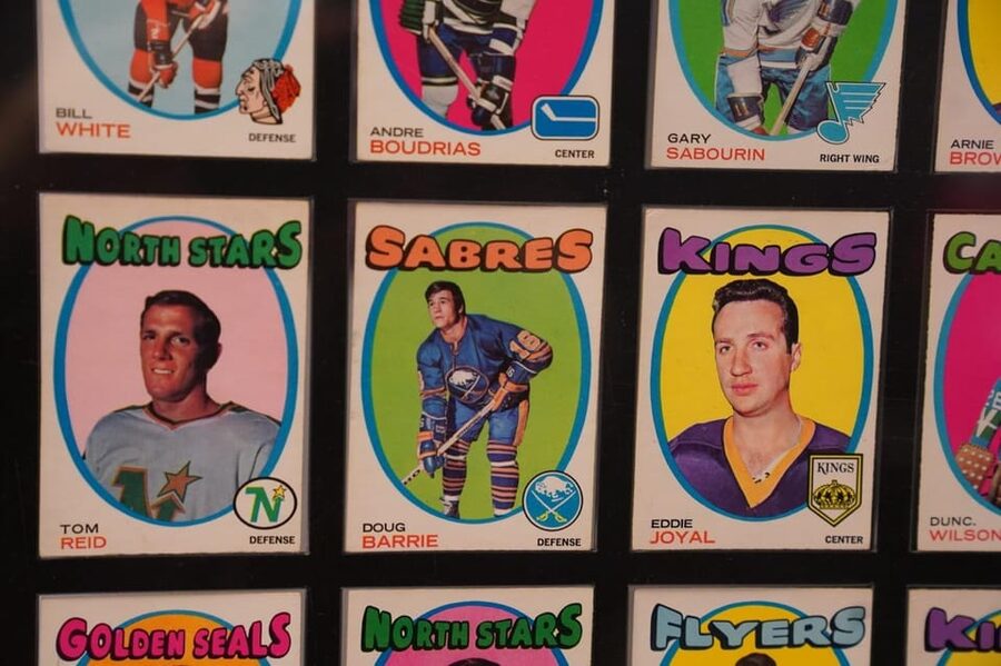 Prague: Hockey Cards Museum and NHL VR Experience Ticket - Who will get the most from the $9 ticket?