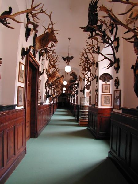 Prague: Karlštejn Castle Guided Tour with Entry Ticket - Who will enjoy this excursion most?