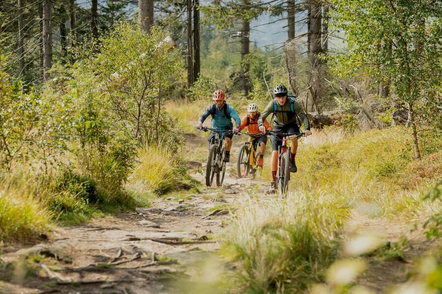 Prague Mountain Biking: Blast Through The Best Singletracks - Who should book this ride?