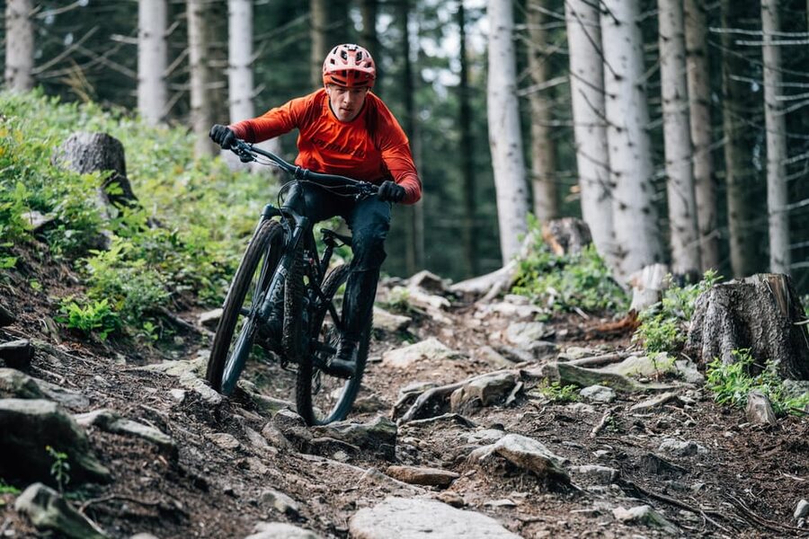 Prague Mountain Biking: Blast Through The Best Singletracks - Forest singletracks and open-meadow views