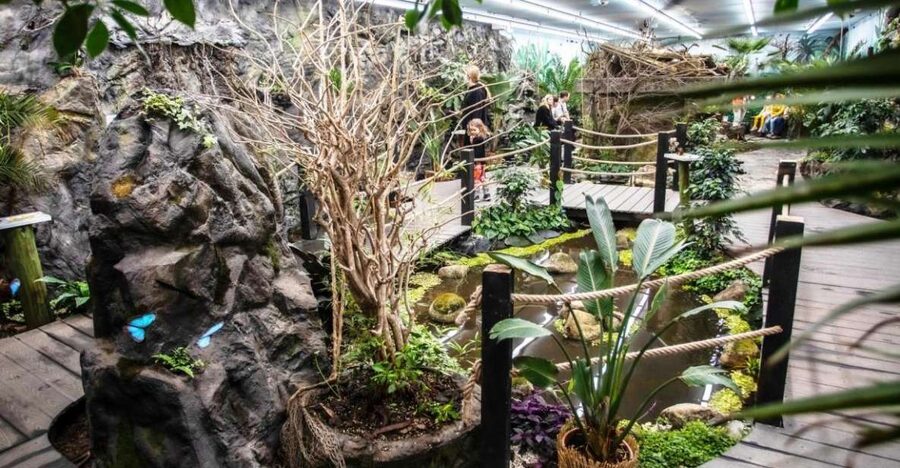 Prague: Papilonia Butterfly House - Key points before you go