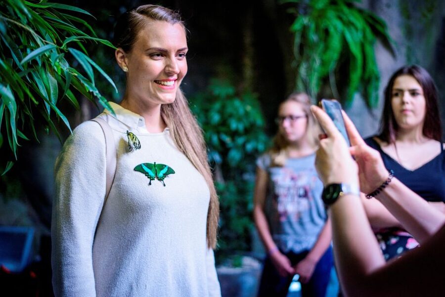 Prague: Papilonia Butterfly House - Finding Papilonia inside Hamleys