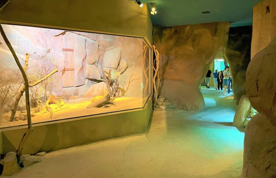 Prague: Prague Zoo Audio Guide with E-Ticket - Using the audio guide and maps