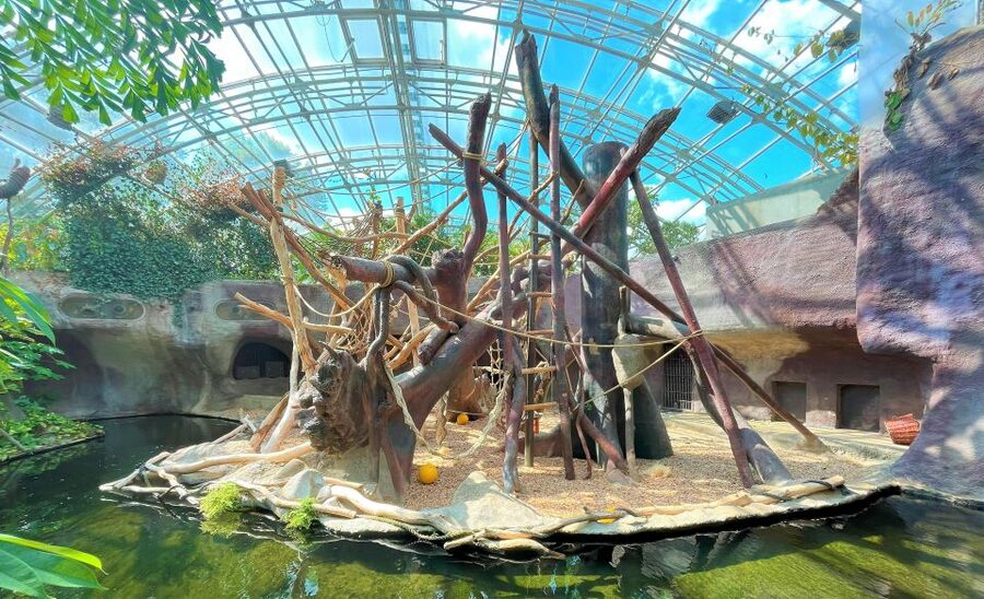 Prague: Prague Zoo Audio Guide with E-Ticket - Food, toilets, seating, and the practical side
