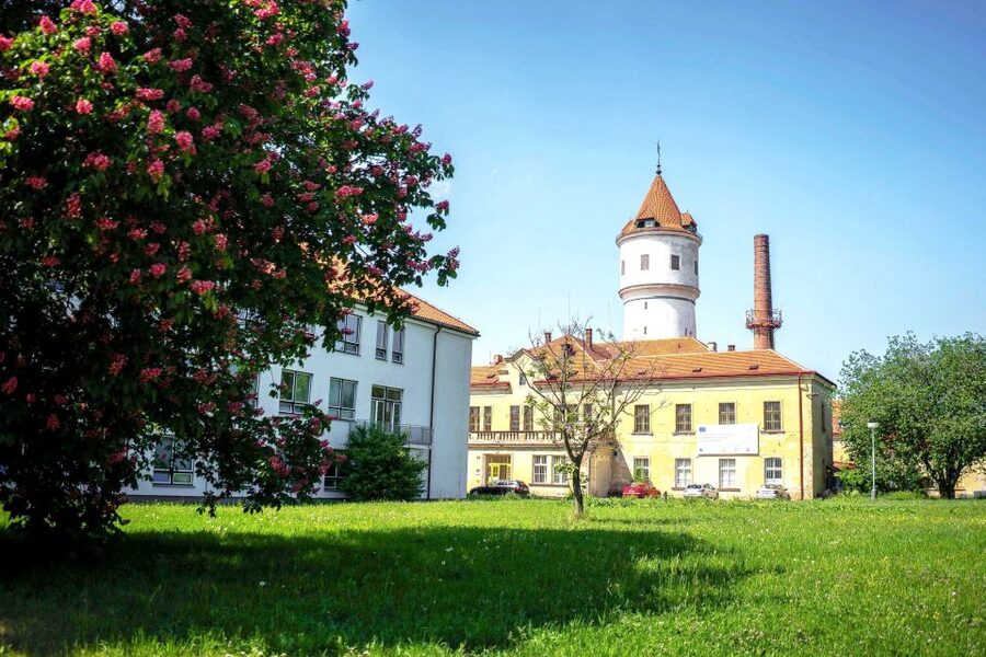Prague: Psychiatric Hospital and Abandoned Cemetery Tour - Arriving at Psychiatric Hospital Bohnice