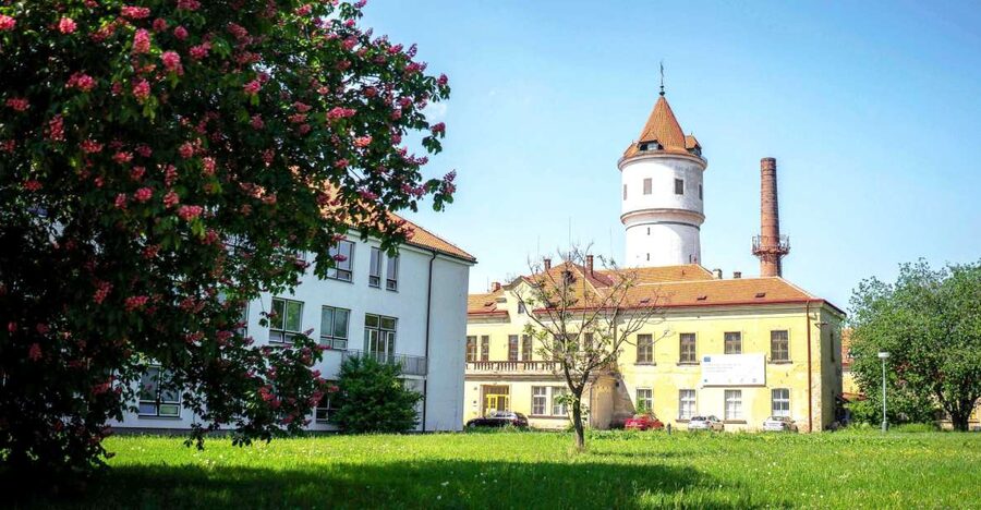 Prague: Psychiatric Hospital and Abandoned Cemetery Tour - Why the working hospital matters