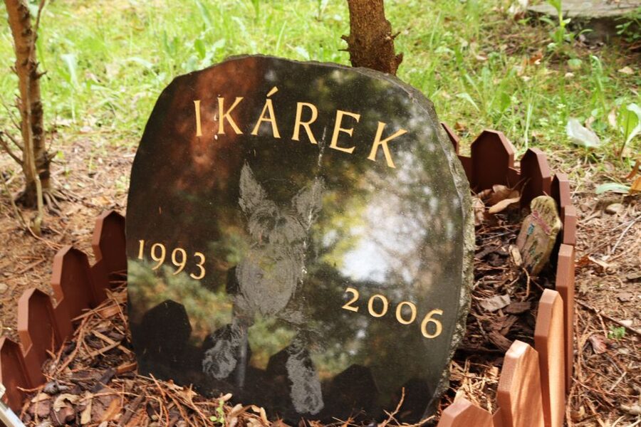 Prague: Psychiatric Hospital and Abandoned Cemetery Tour - Who should book this experience?