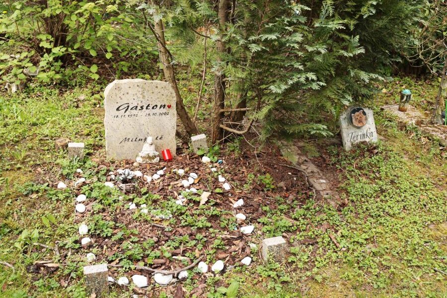 Prague: Psychiatric Hospital and Abandoned Cemetery Tour - Practical advice before you go