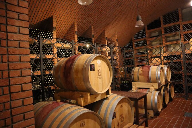 Prague´s Hidden Vineyards Private Tour - The guides shape the day