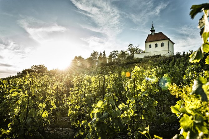 Prague´s Hidden Vineyards Private Tour - Who will enjoy this most