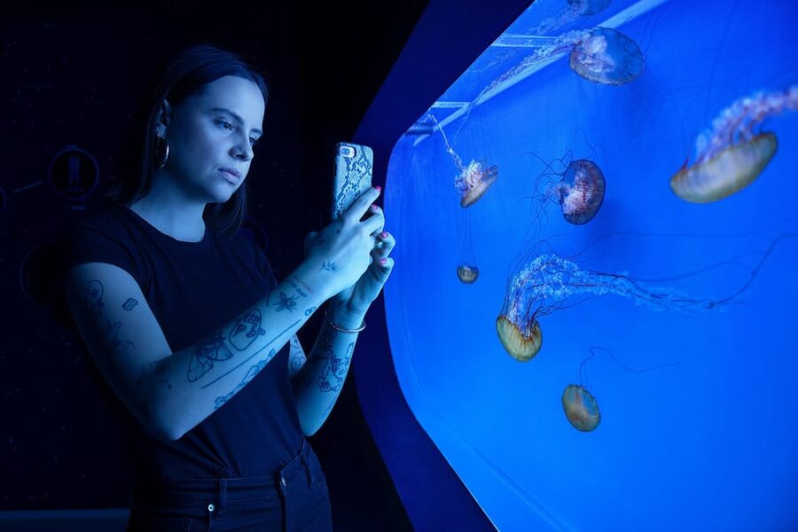 Prague: The World Of Jellyfish Entry Ticket w/ Drink - How long should you plan for the visit?