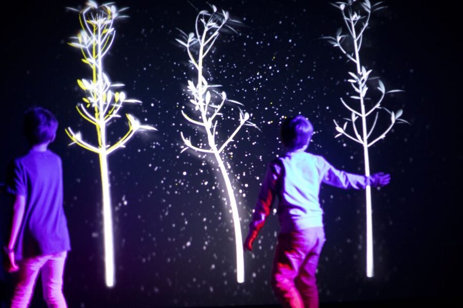 Prague: Ticket to Audiovisual Light Art at Lumia Gallery - Accessibility and important health limits
