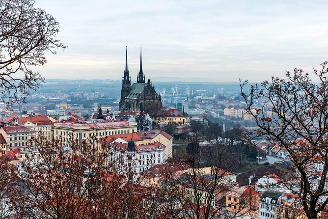 Prague-Vienna One-Way Sightseeing Day Tour - Who should book this Prague to Vienna route?