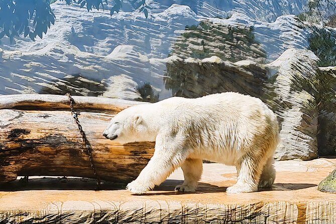 Prague Zoo Admission Ticket with Transfer and Audio Guide - The ride to Troja and the short walk onward