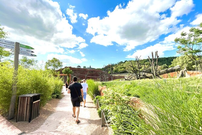 Prague Zoo Admission Ticket with Transfer and Audio Guide - Gorillas, walking, and the shape of the day