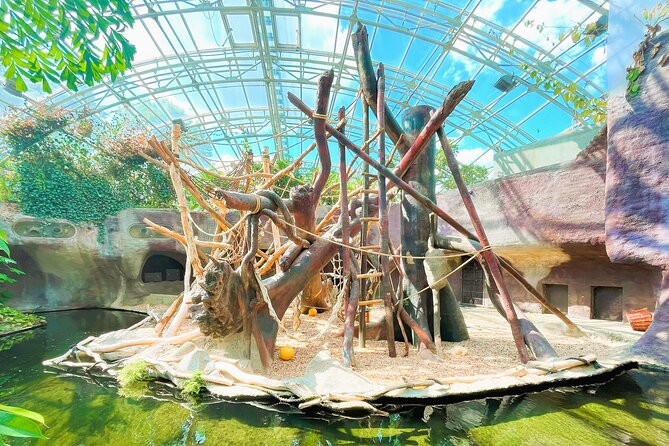Prague Zoo Admission Ticket with Transfer and Audio Guide - The 4 p.m. return requires attention