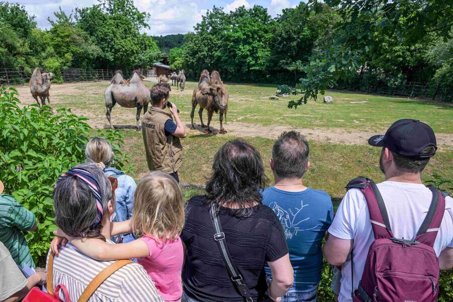 Prague Zoo: Skip-the-Line Entry Ticket - What the $15 Ticket Really Buys You