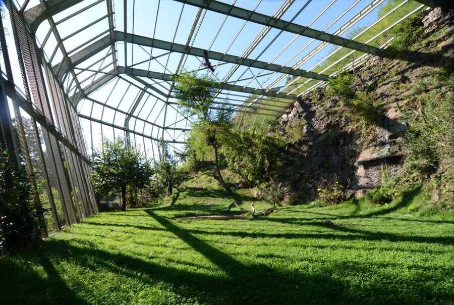 Prague Zoo Skip-the-line Tickets and Private Transfers - Key points to know before booking