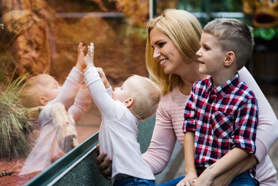 Prague Zoo Skip-the-line Tickets and Private Transfers - How the five-hour schedule really feels