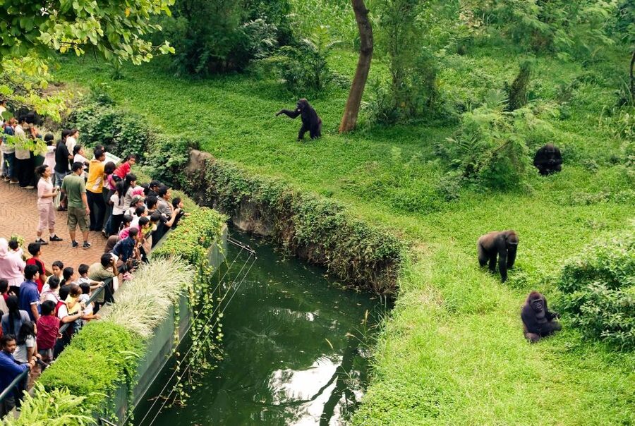 Prague Zoo Skip-the-line Tickets and Private Transfers - Who should choose this private zoo outing?