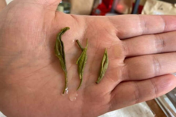 Private Authentic Tea Experience in Prague - Learning why brewing temperature matters