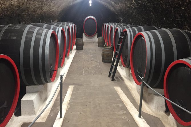 Private Bohemia Wine Tour from Prague with Gourmet Tastings - What the private guide adds