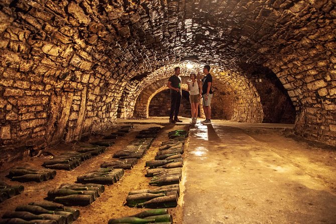 Private Bohemia Wine Tour from Prague with Gourmet Tastings - Mělník: wine beneath a Renaissance château