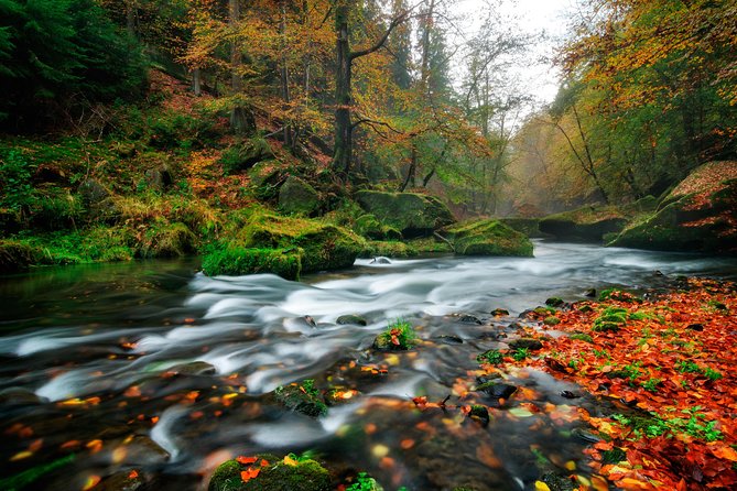 Private Custom Full day tour - Top Highlights of Bohemian & Saxon Switzerland - A boat through Kamenice Gorge