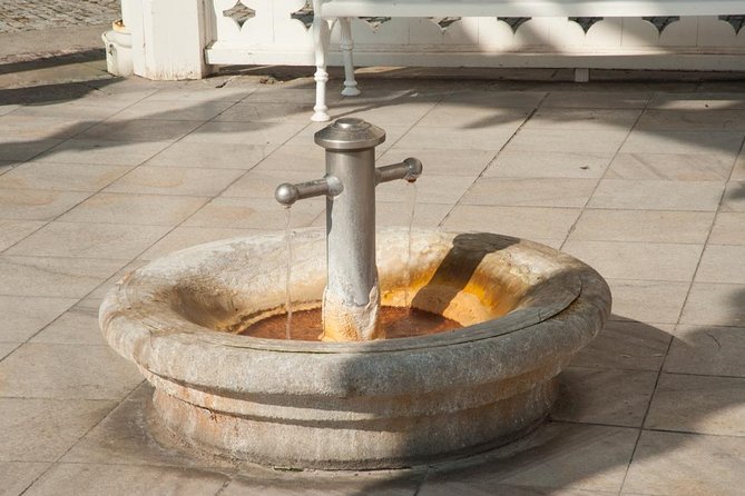 Private Karlovy Vary trip from Prague with glassworks All-Incl. - Who will enjoy this private day trip?