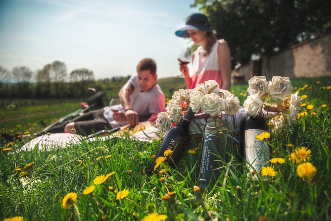 Private PICNIC in Bohemian Vineyards and Wine Tasting 4WD Tour - The 4WD ride and the value of going off the usual route