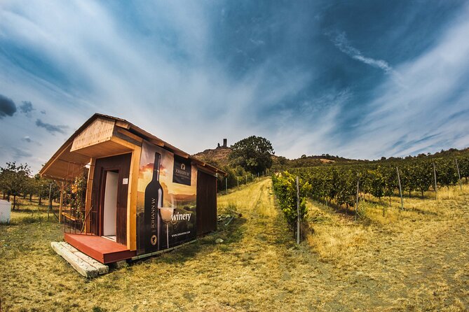 Private PICNIC in Bohemian Vineyards and Wine Tasting 4WD Tour - How the timing works in real terms