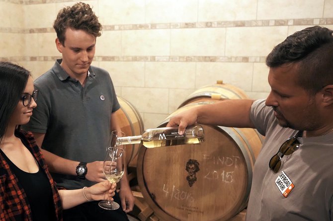 Private PICNIC in Bohemian Vineyards and Wine Tasting 4WD Tour - Is $372.07 per person fair value?