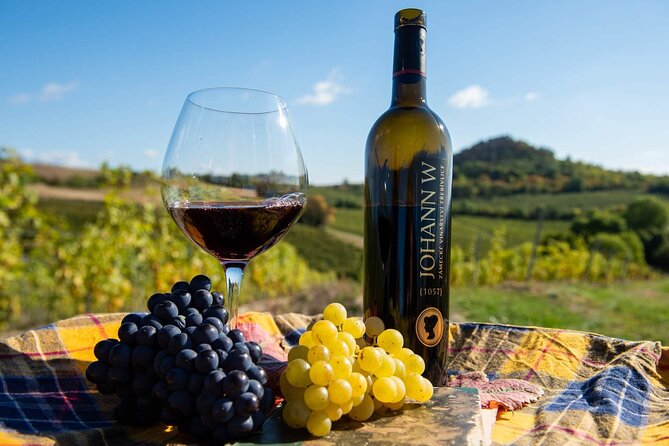 Private PICNIC in Bohemian Vineyards and Wine Tasting 4WD Tour - Třebívlice and the Johann W winery visit