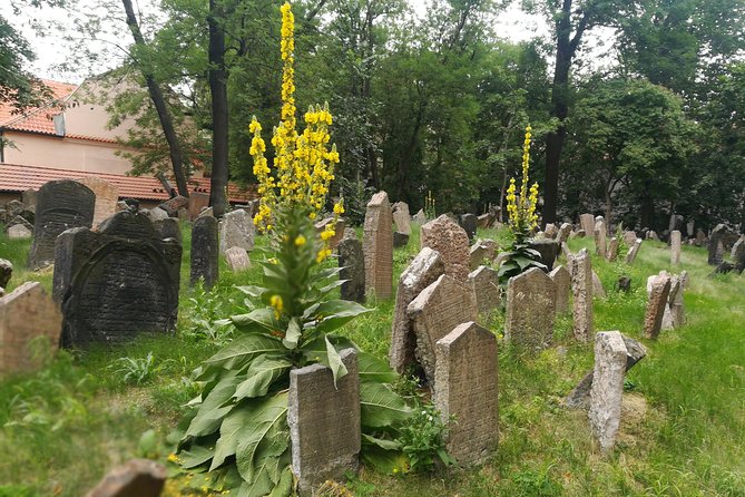 Private Stories of Jewish Prague Walking Tour - Klausen Synagogue and Everyday Jewish Life