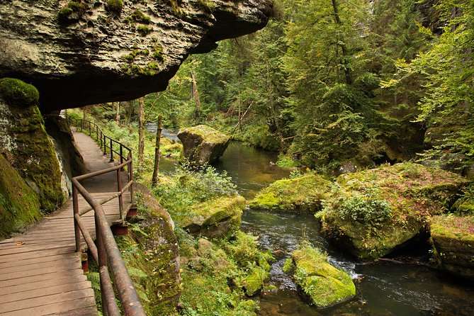 Private Tour to Czech-Saxon Switzerland National Park - What the private format is worth