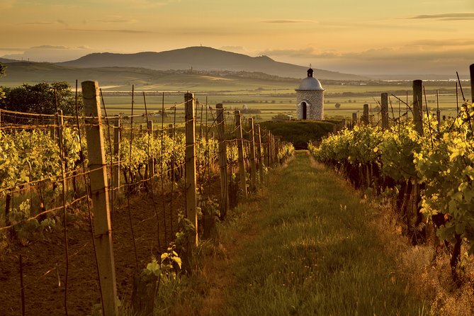 Private Tour to Czech Wine Regions - Lednice and Valtice - Lednice town, village life, and a slower pause