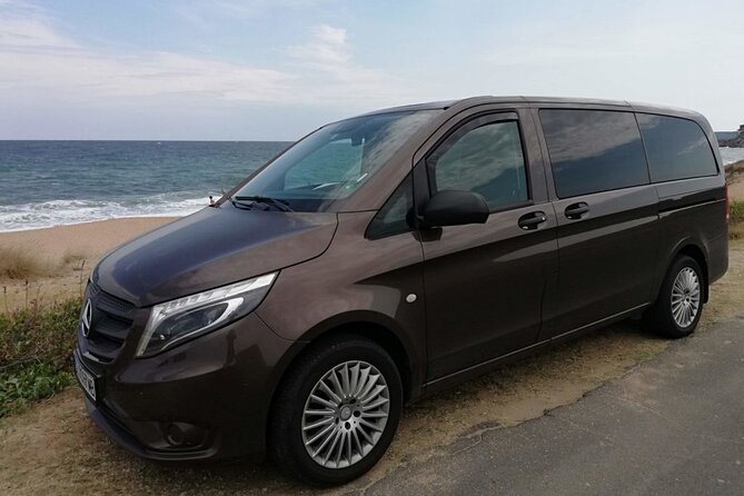 Private Transfer from Prague Airport to Prague City Hotels 1 - 7 pax - How the flight tracking and meet and greet work
