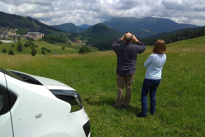 Private transfer in a Sanitized Car Prague to Vienna with 2h stop Cesky Krumlov - Timing, accessibility, and small practical matters